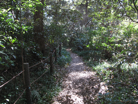 20190118hike (32)